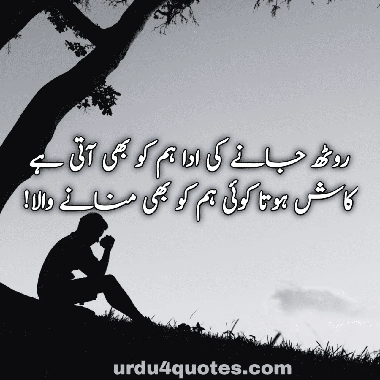 sad quotes in urdu