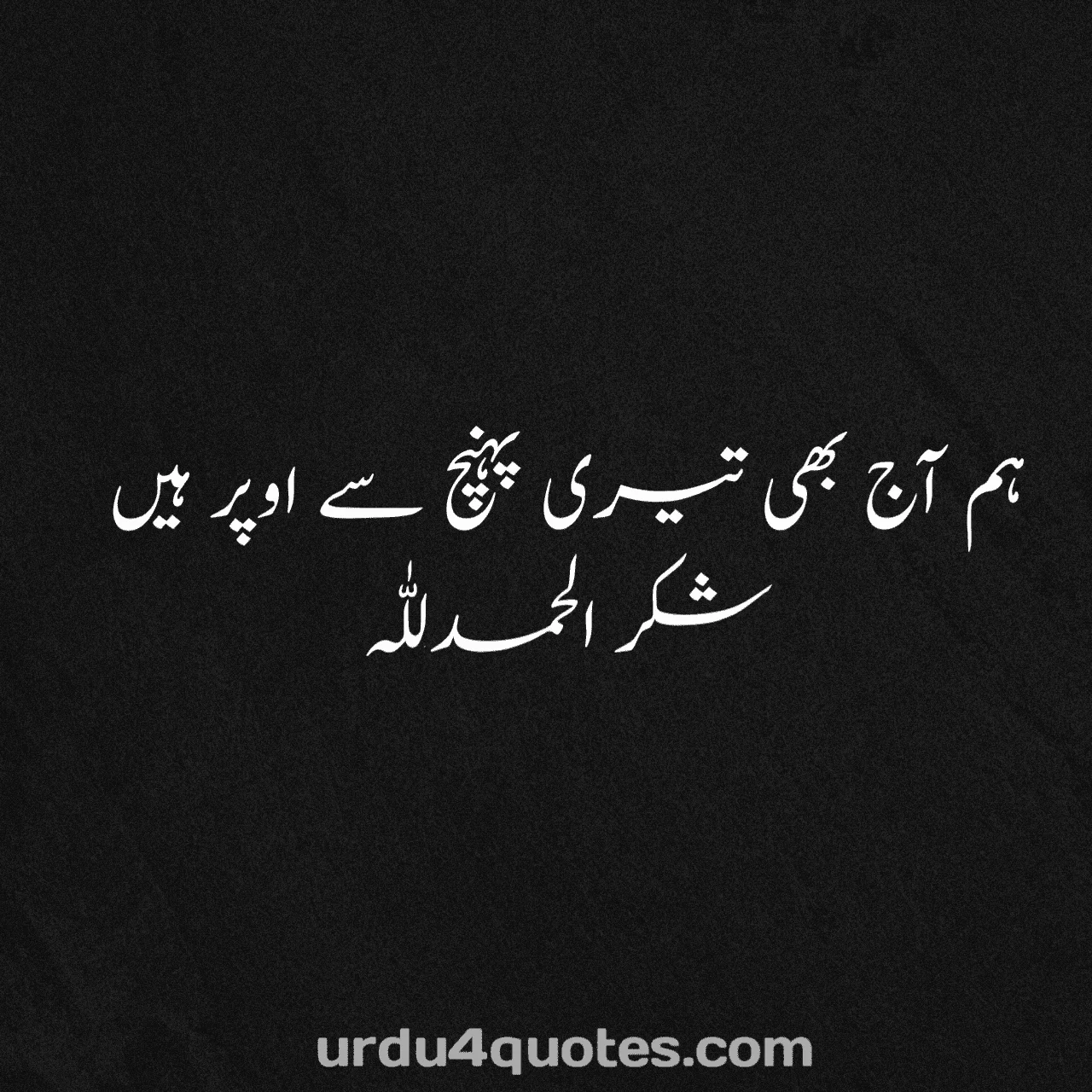 attitude poetry in urdu 2 lines text