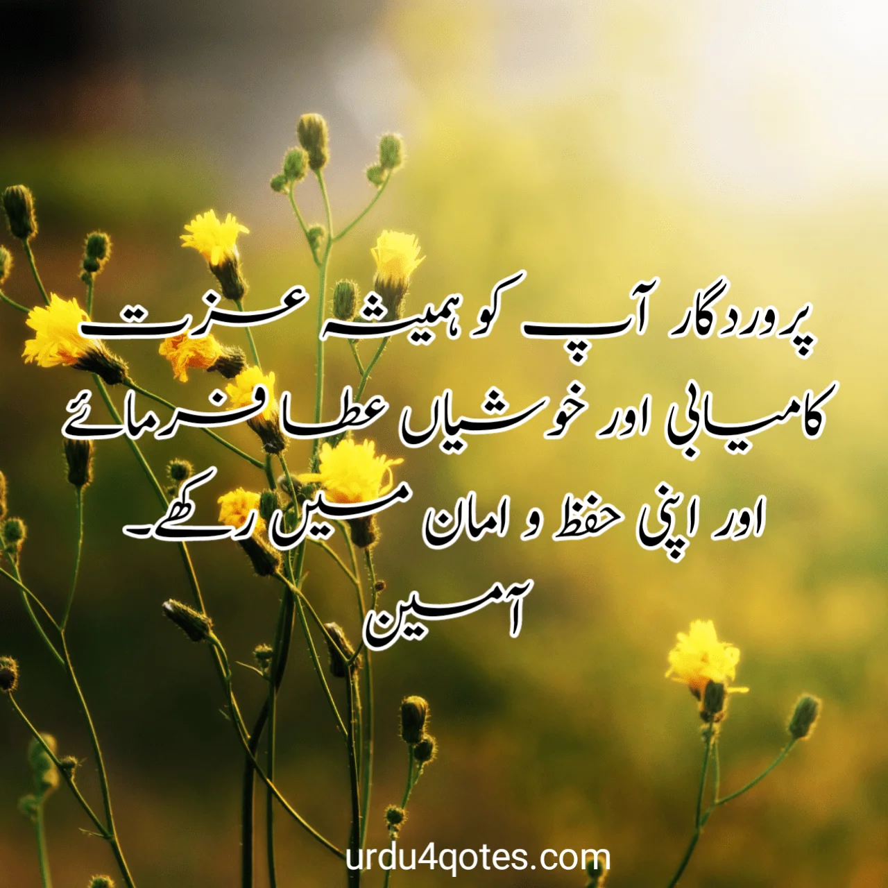 subah bakhair dua