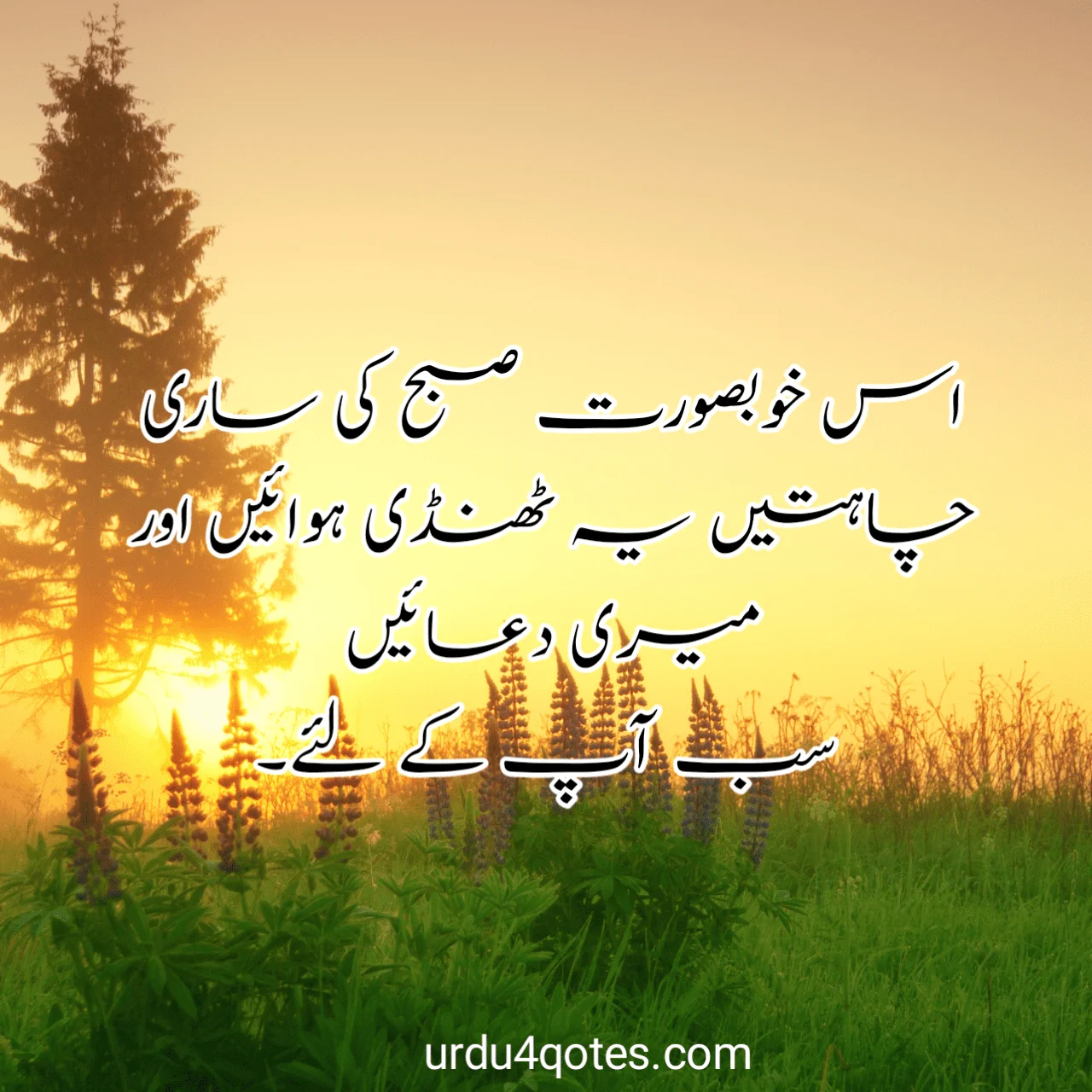 good morning dua in urdu